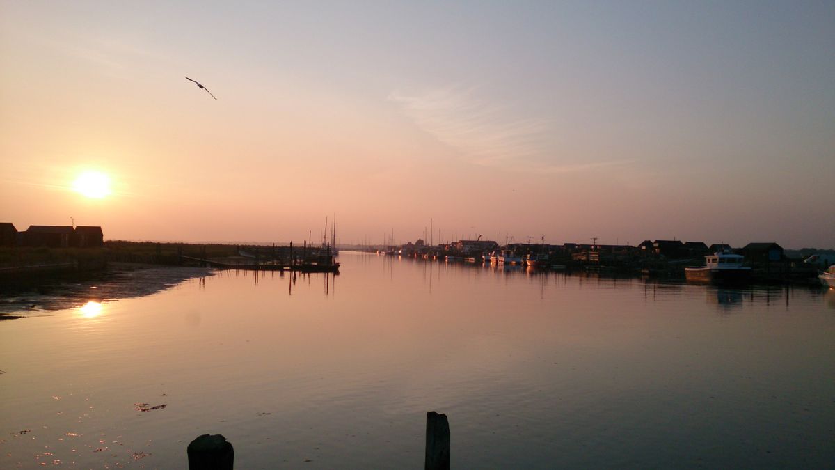 Walberswick to Southwold