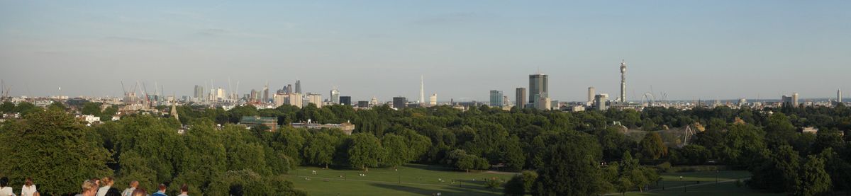 naturaleza en la gran ciudad