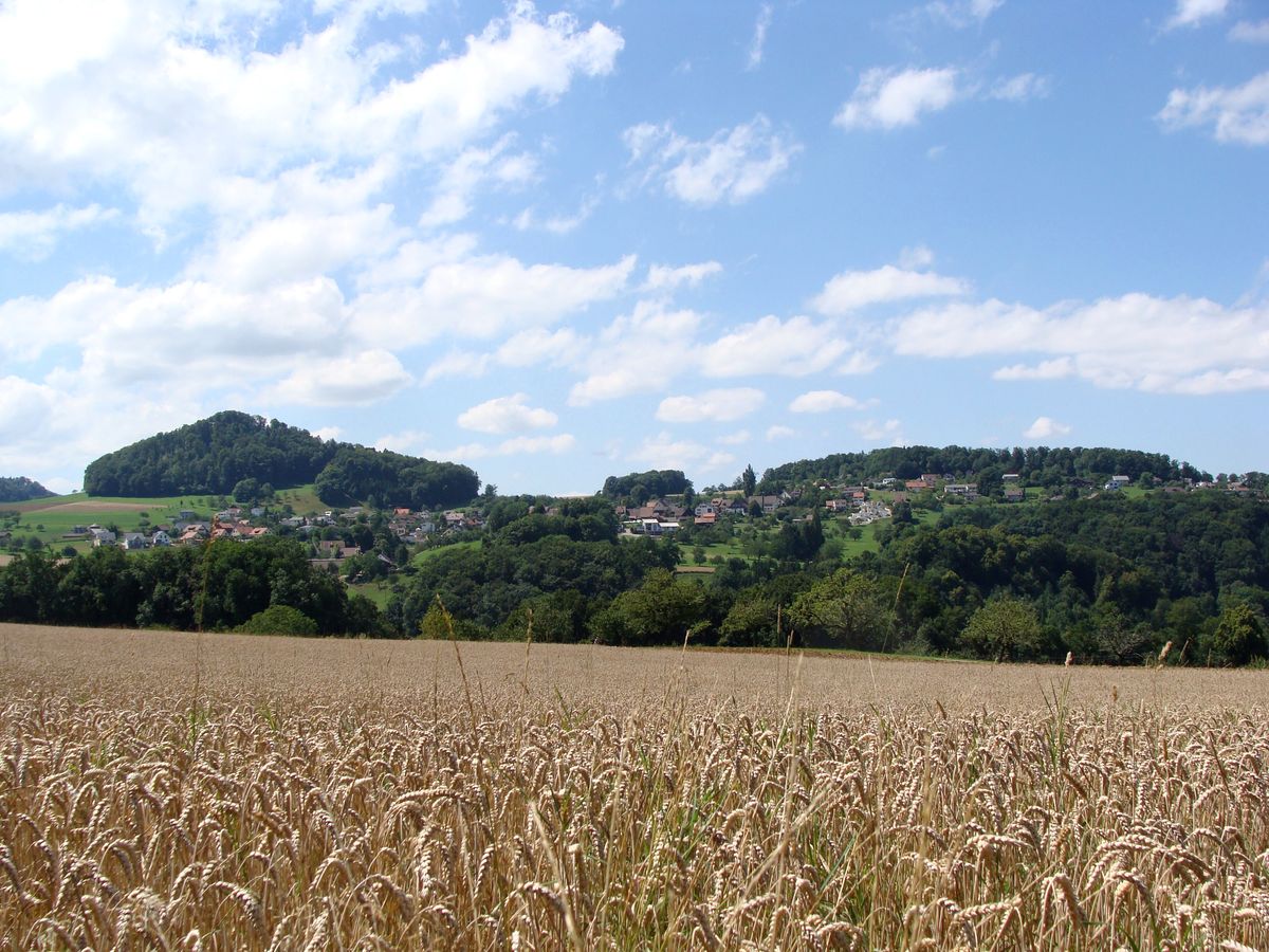 Arboldswil im Frühherbst