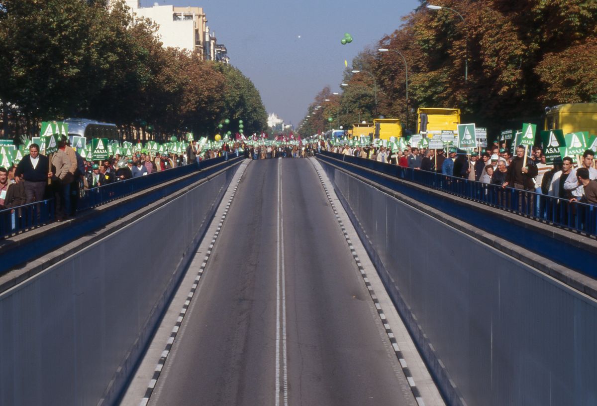 MANIFESTACIÓN009.jpg