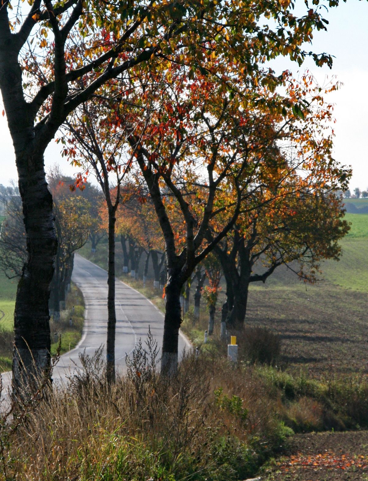 Landstraße