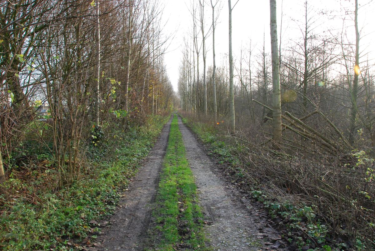 tractorpad naast een weg, 1 van mijn 1é foto's in fotografie