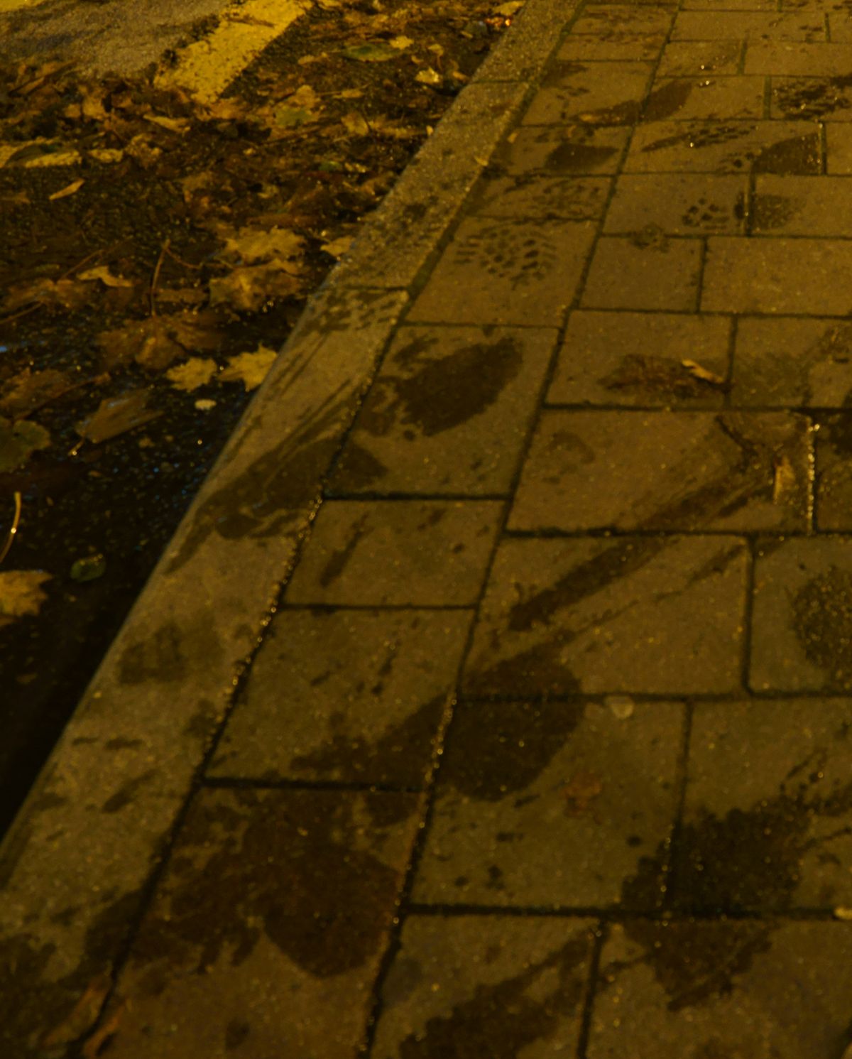 wet footprints on a pavement at night