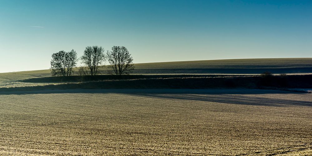 Matin gelé