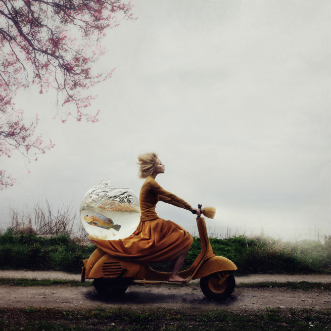 6 Kylli Sparre_Estonia_Winner_Open_Enhanced_2014.jpg 6 Kylli Sparre_Estonia_Winner_Open_Enhanced_2014.jpg