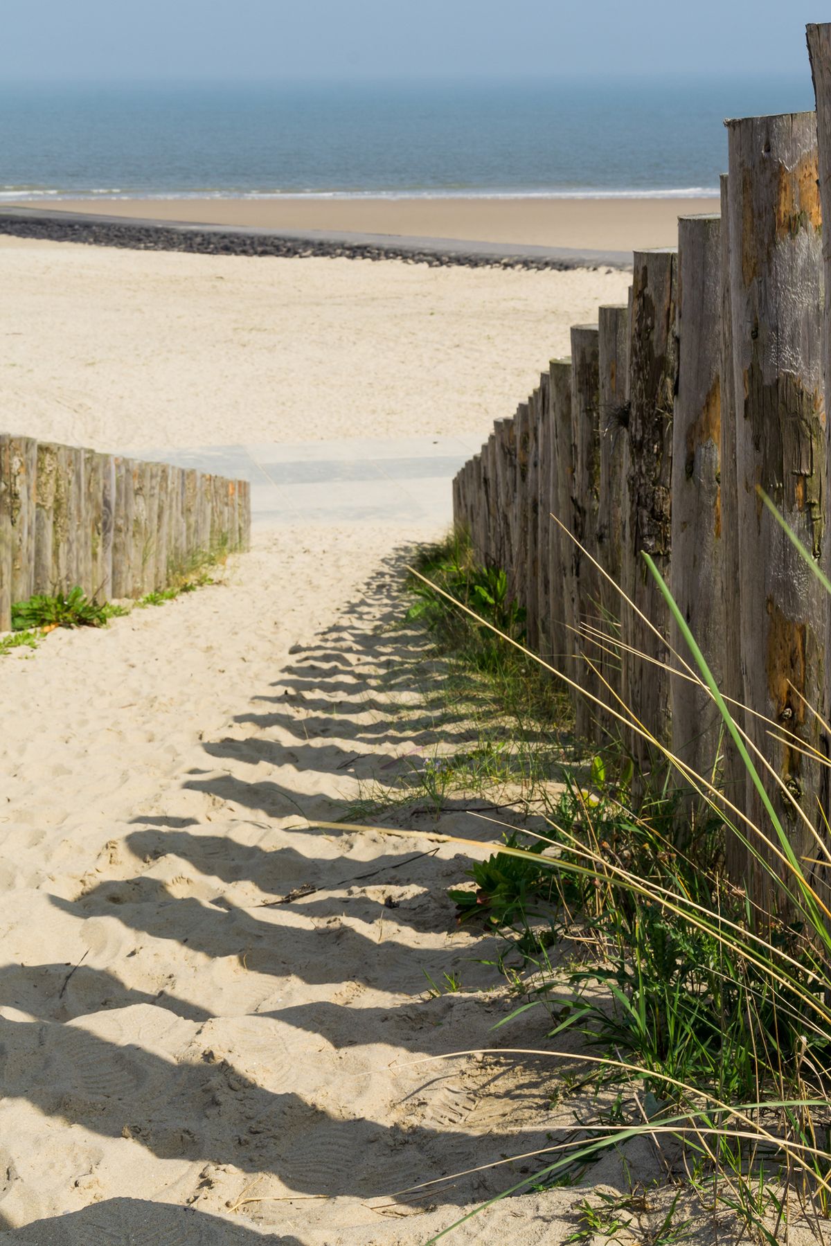 Duinen bij Cadzand-Bad