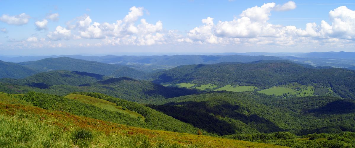 Połonina Caryńska, widok na północ