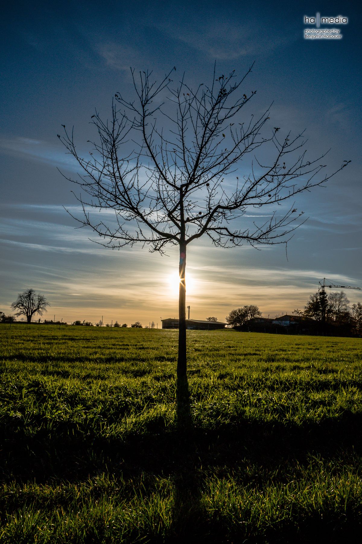 20141108_155534_GoldbodenSonnenuntergang_0161.jpg