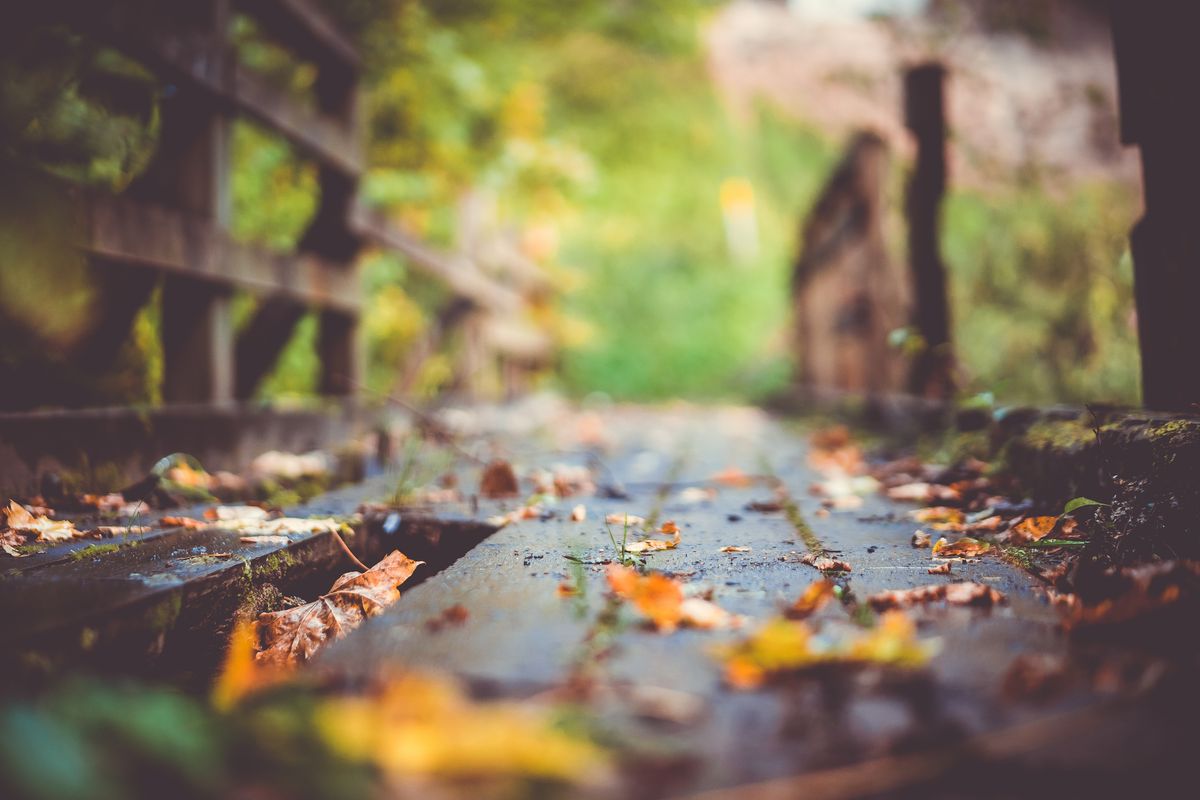 Old Abandoned Bridge