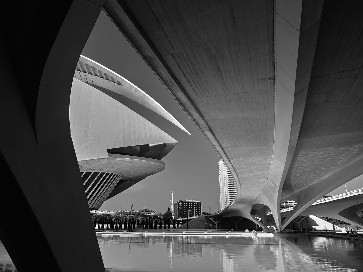 Valensia, bridge, architector  Santiago Calatrava