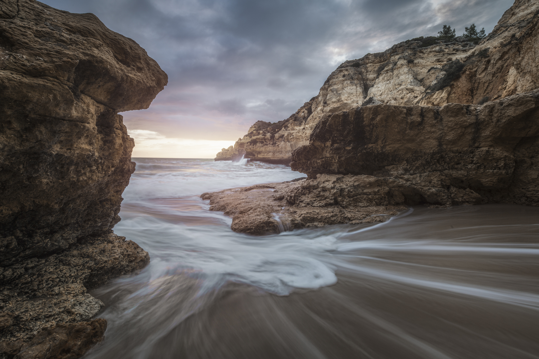 2016_008_k.jpg 2016_008_k.jpg