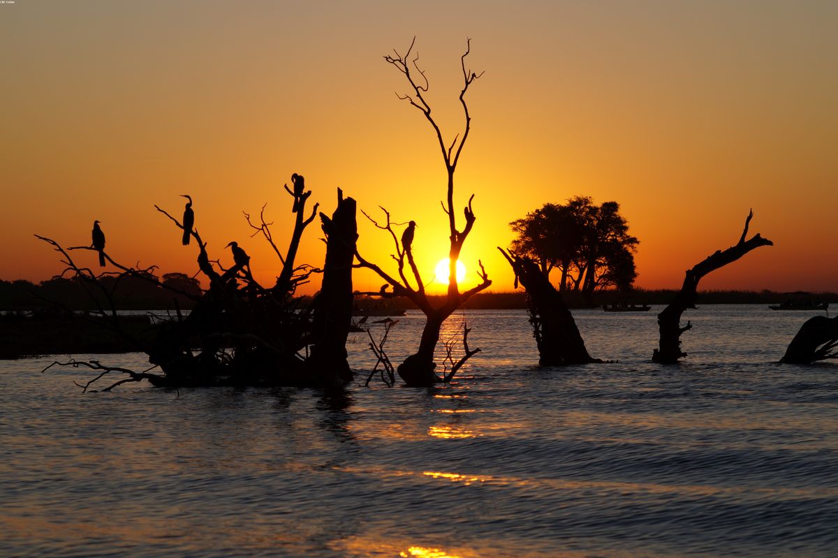 Sonnenuntergang am Chobe River, August 2015