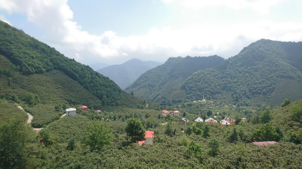 View from Hisarköy, Giresun Turkey
Shot with Sony Xperia X