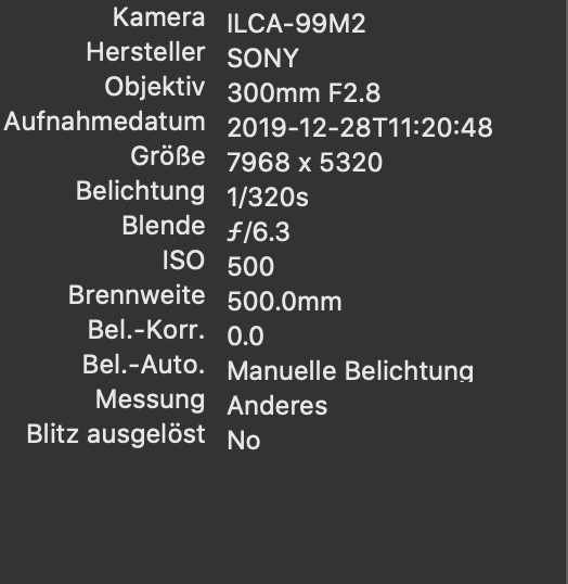 Wie zu sehen wurde hier ein anderes Objektiv hinterlegt, obwohl es immer noch das Sigma 500mm war.