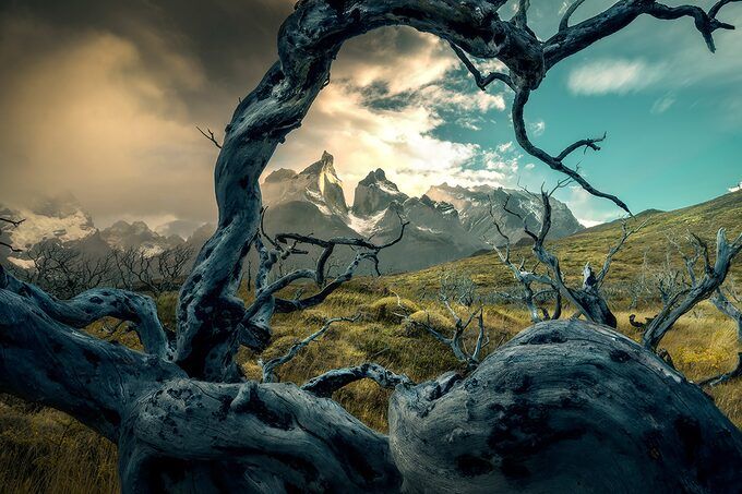 Ilhan Eroglu.jfif Ilhan Eroglu.jfif