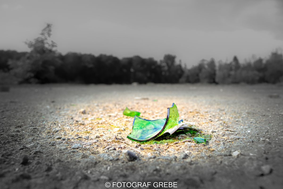 GLAS FOTOGRAF GREBE-2.jpg