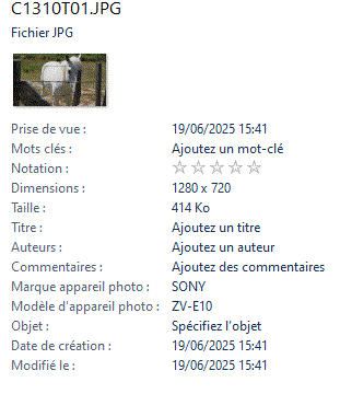 capture photo 1280 par 720.GIF