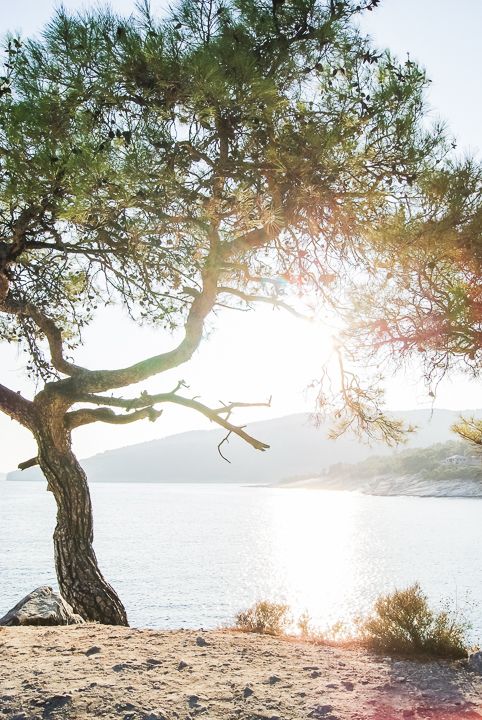 secret, island, sunny, summer, sun, peace, quite, sea, water, view