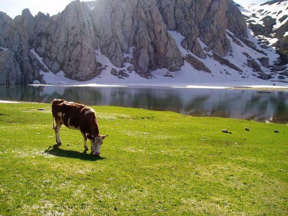 le mont tikjda Algerie