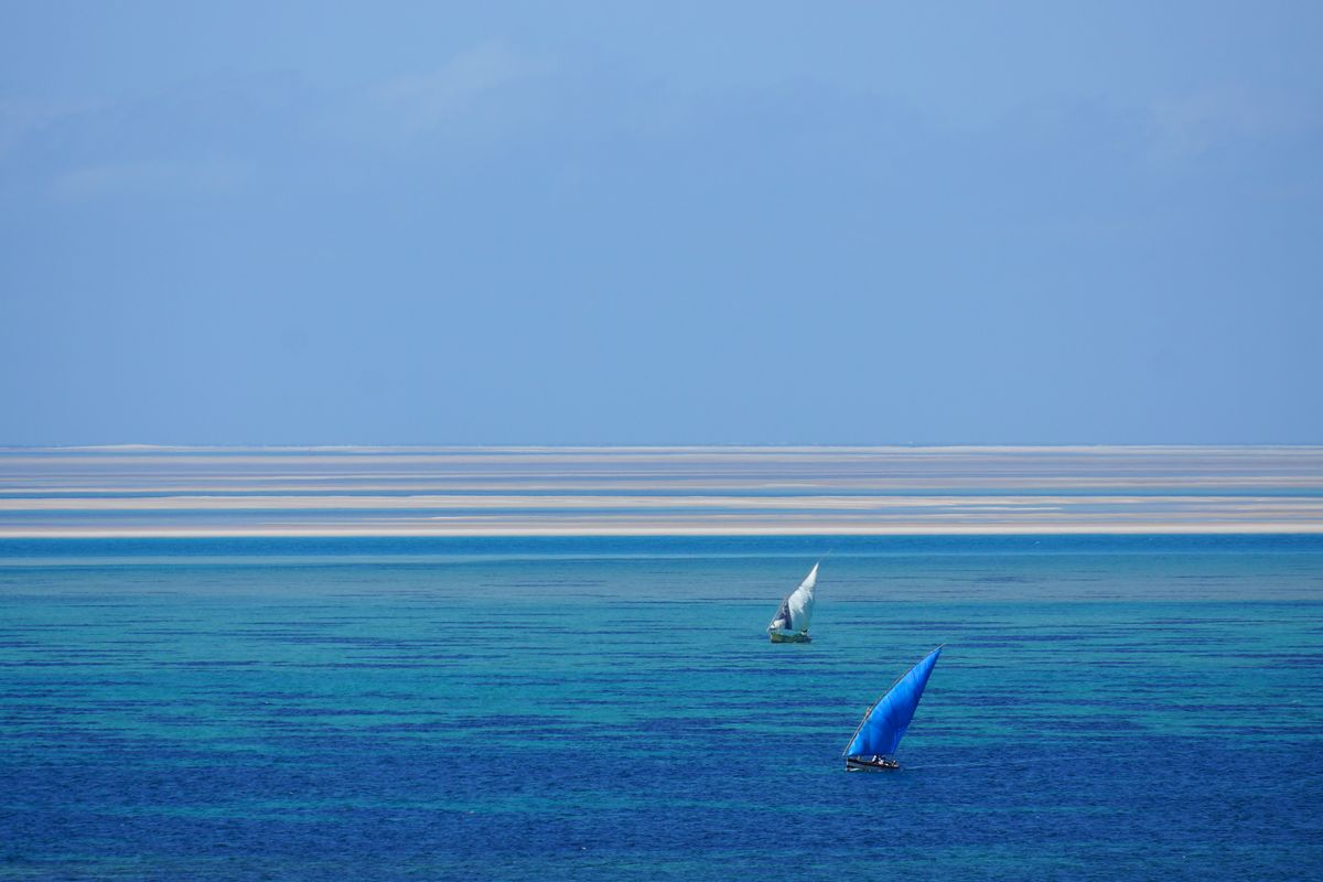 Dhows off Bazaruto, Mozambique