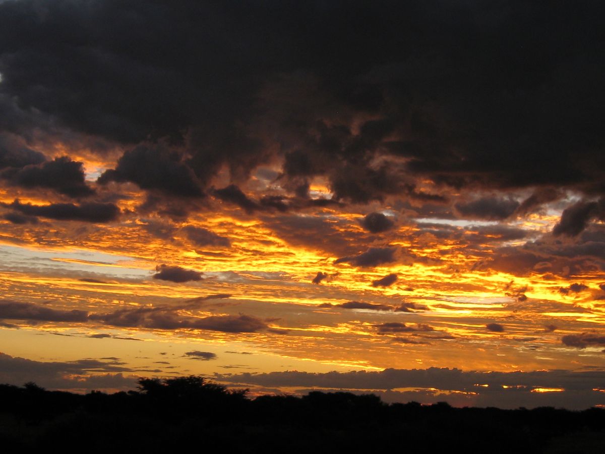 Golden Sunset, South Africa