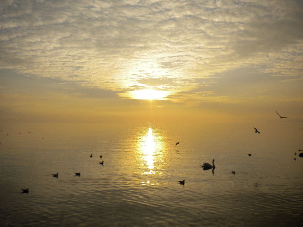 Sunset on Lac Leman, taken from Lutry